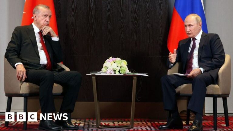 Erdogan: Ukraine Conflict Will Not End Soon, Europe’s Aid Unlikely to Last