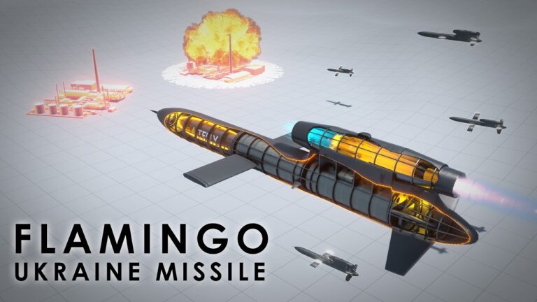 Flamingo Missile Controversy: Concerns over Funding and Promoter Ties